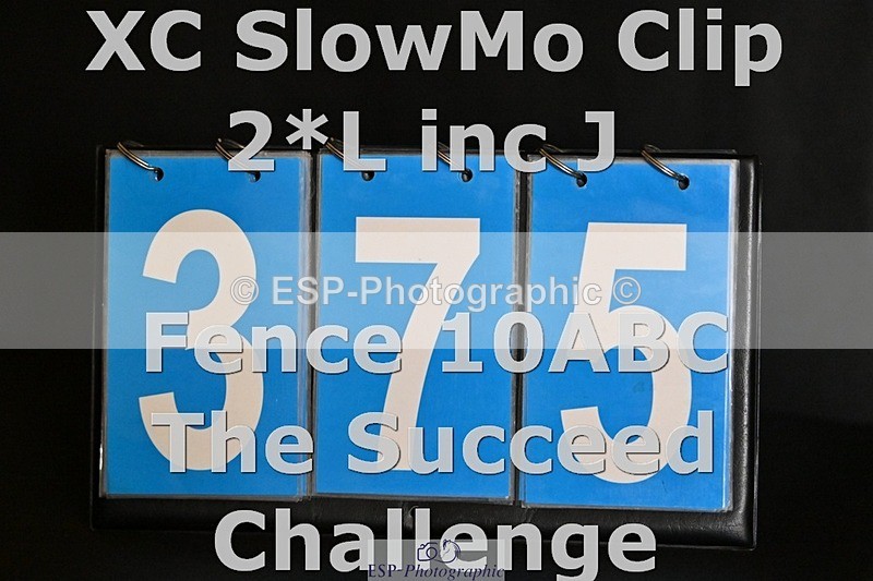 ESP_375 - C-375-Guto.de.Faria