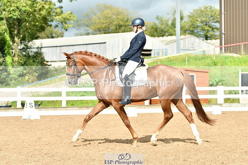 230912A-151942-01541 - Cls 13 Adv Medium 91