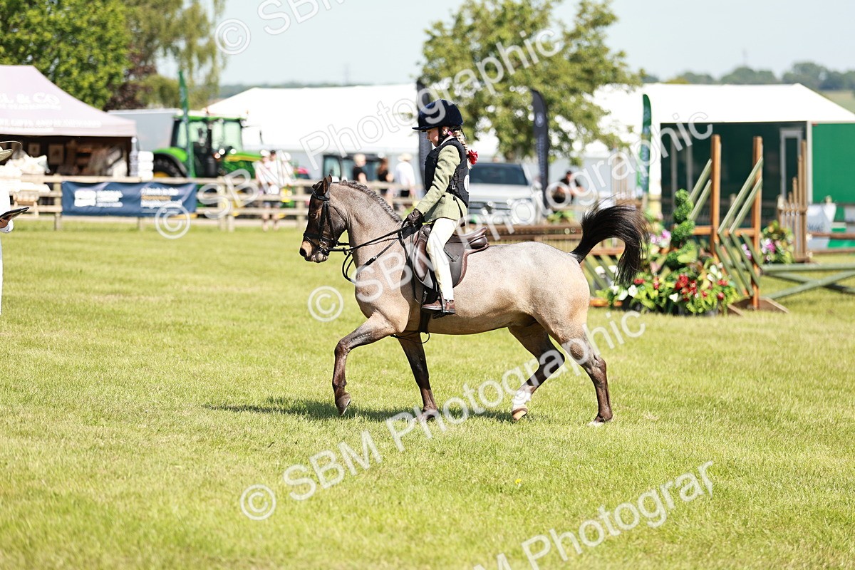 SBM_13497 - Class 108-109 - BSPS LIHS Open Gradle & Nursery Stakes