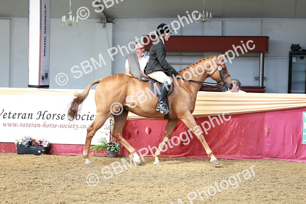 SBM_14889 - Class 108 - Ridden Retired Racehorse