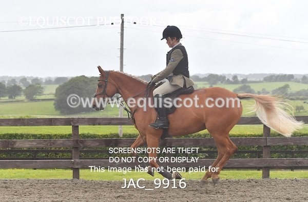 JAC_9916 - CLASS 3 Intermediate Working Hunter (0.70m - 0.85m)