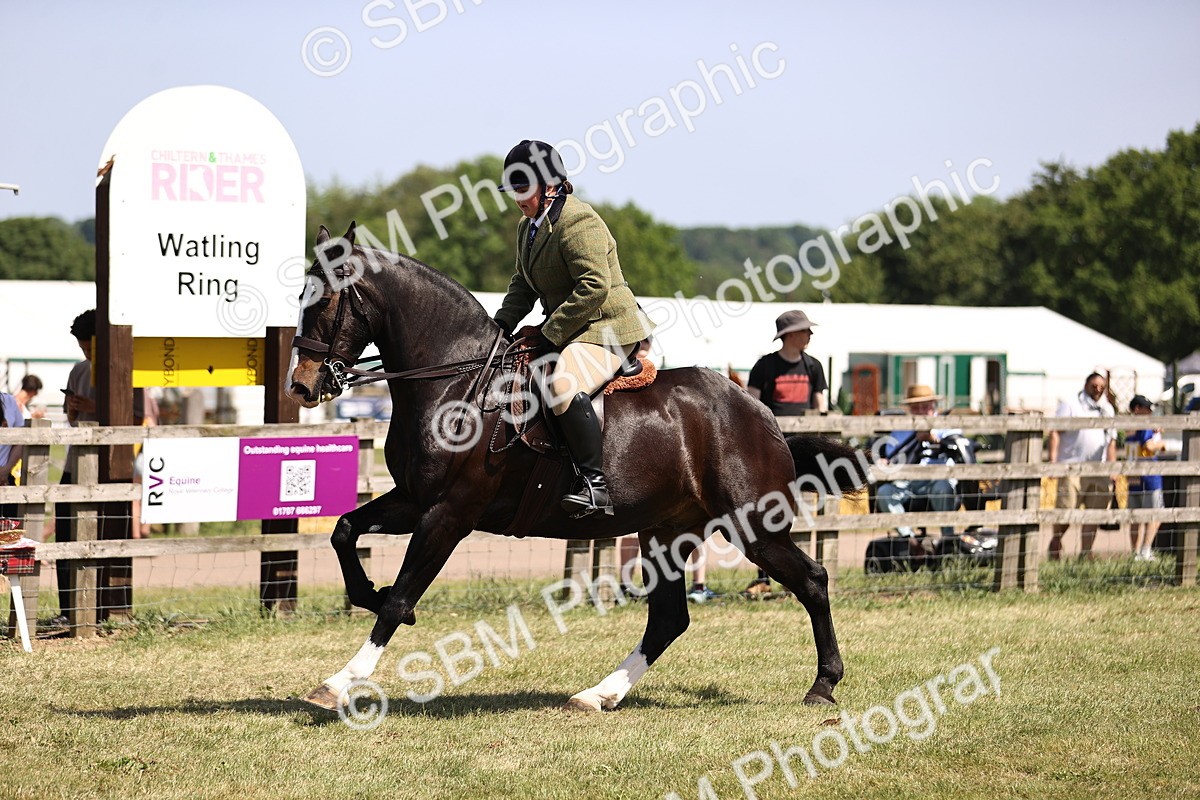 SBM_17859 - Class 81-83 - TSR Ridden Amateur of the Year - Horses