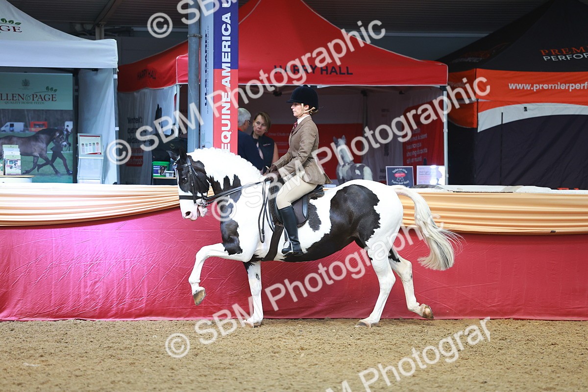 SBM_10597 - Class 103 - HOYS Veteran Qualifier - Ridden Pre Vet