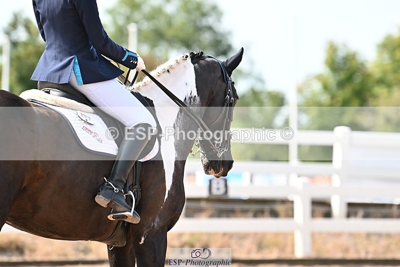 250815-112810-00630 - 037-Alys.MatraversTiger.Mazariti