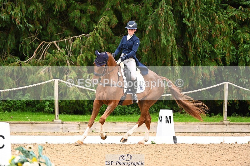 231020-153048-11844 - 213-MGH.HILDARE.HARLEQUIN-Danielle.Mccormack-DR