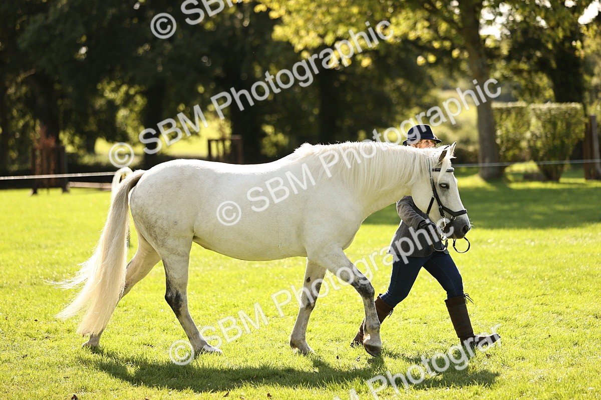 SBM_26118 - S5 - Novice & Newcomers In Hand