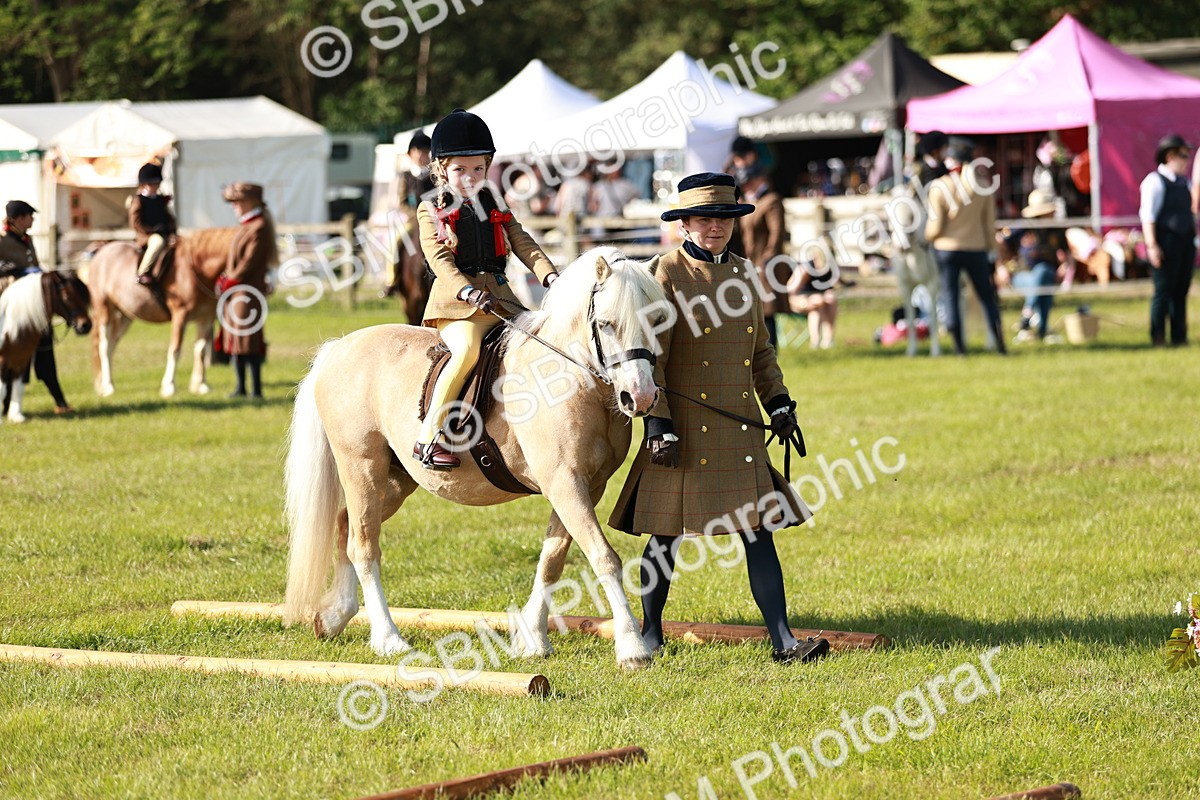 SBM_11245 - Class 106-107 - BSPS LIHS Working Sports Pony