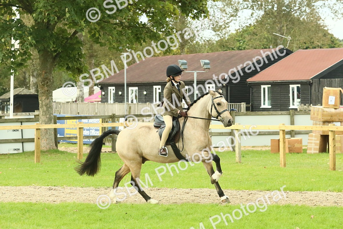 SBM_74020 - S 61 - Show Pony & Show Hunter Pony Ridden