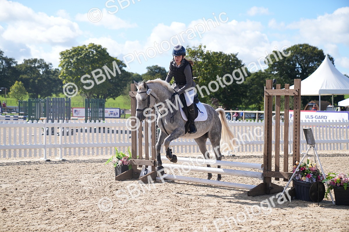 SBM_02495 - J54 Clear Round 45cm