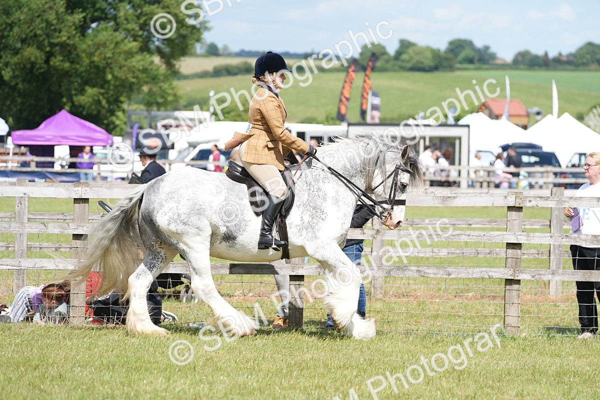 SBM_17126 - Class 107-108 - LIHS BSPS Performance Coloured Horse Pony