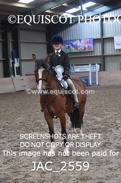 JAC_2559 - CLASS 3 Intermediate Working Hunter