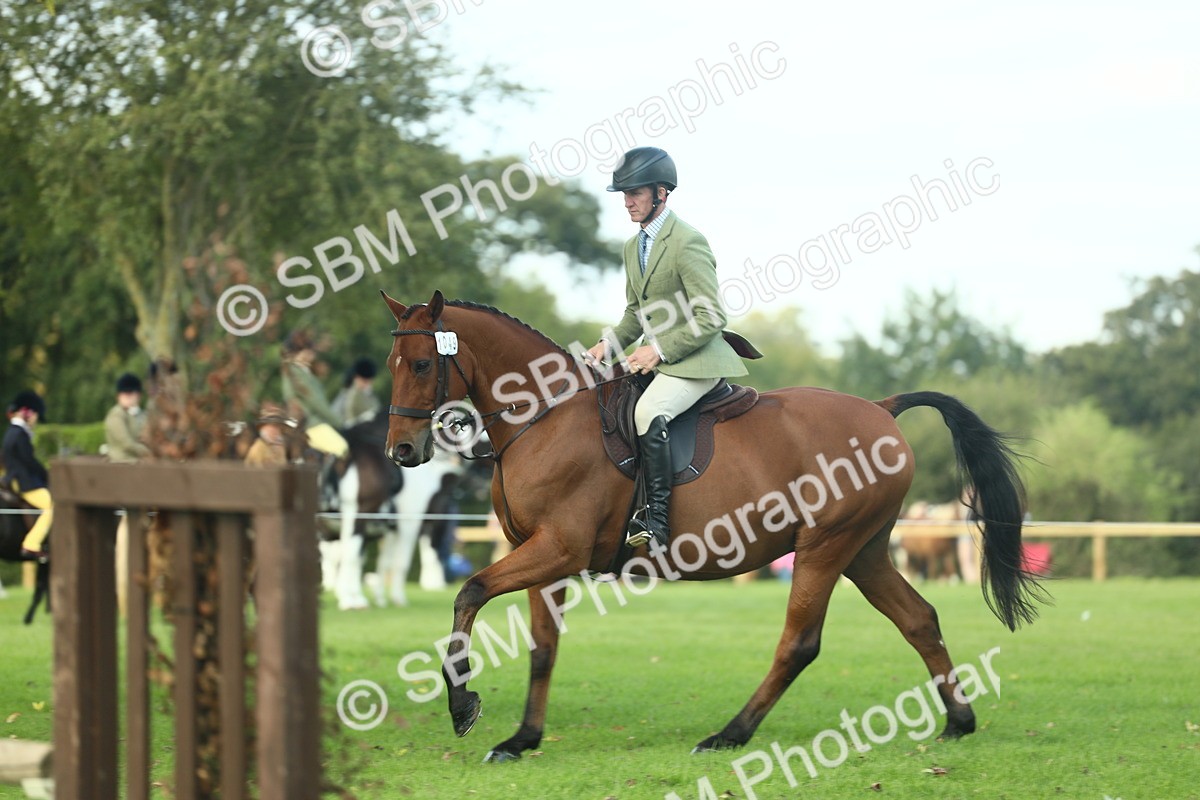 SBM_50748 - S33 - Working Hunter & Working Show Horse