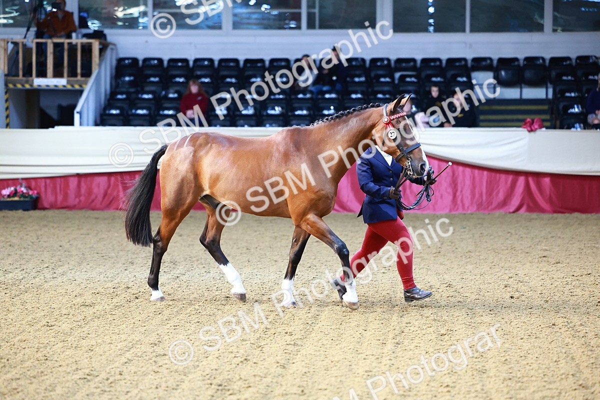 SBM_21777 - Class 901 - Supreme Final - IH  Diamond