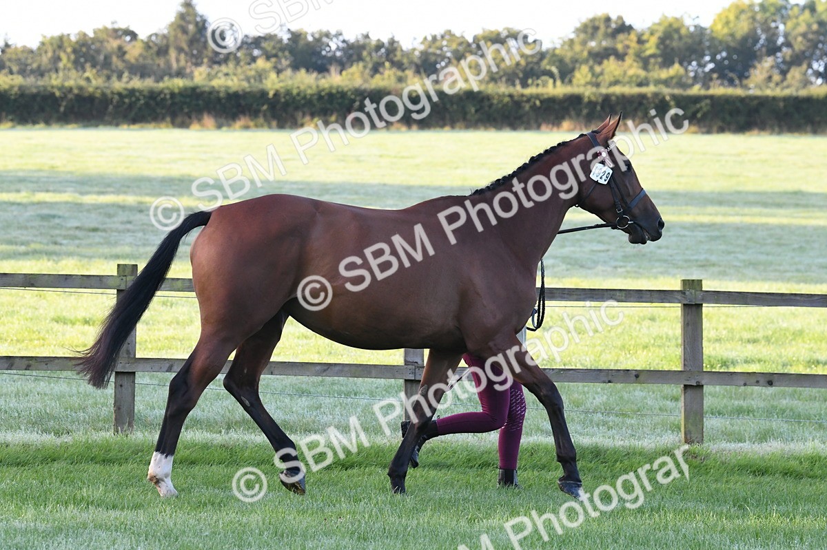 SBM_32534 - S15 - Condition & Turnout In Hand