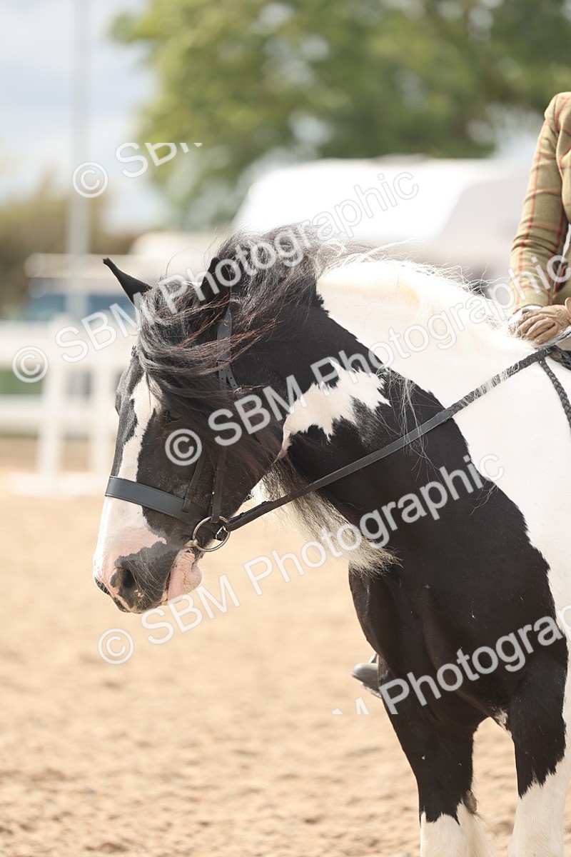 SBM_18037 - Class 314 - Family Horse Pony
