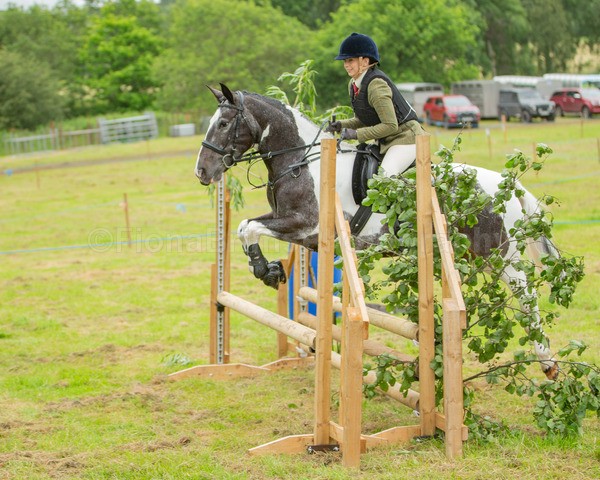 Dunblane show-310 - Dunblane and Doune Show Ring 1