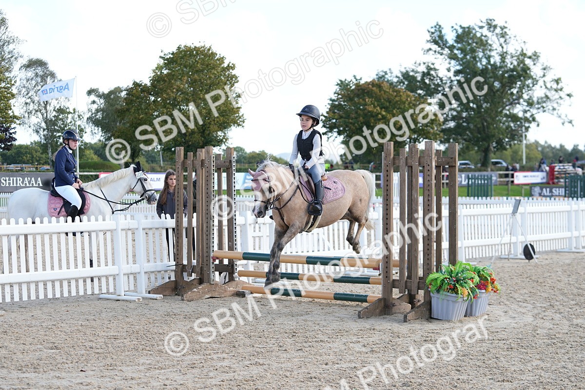 SBM_48382 - J7 - Junior Pony 60cm Championship