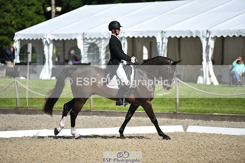 230525-094824-01669 - 309-PLOT_TWIST_B-Tom_Jackson-WEDTrotUp+DR