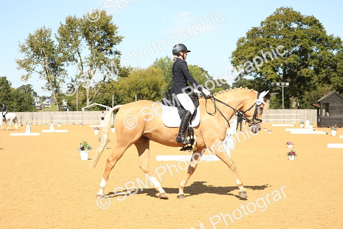 SBM_22306 - D17 - Grand Tour Championship - Novice 27