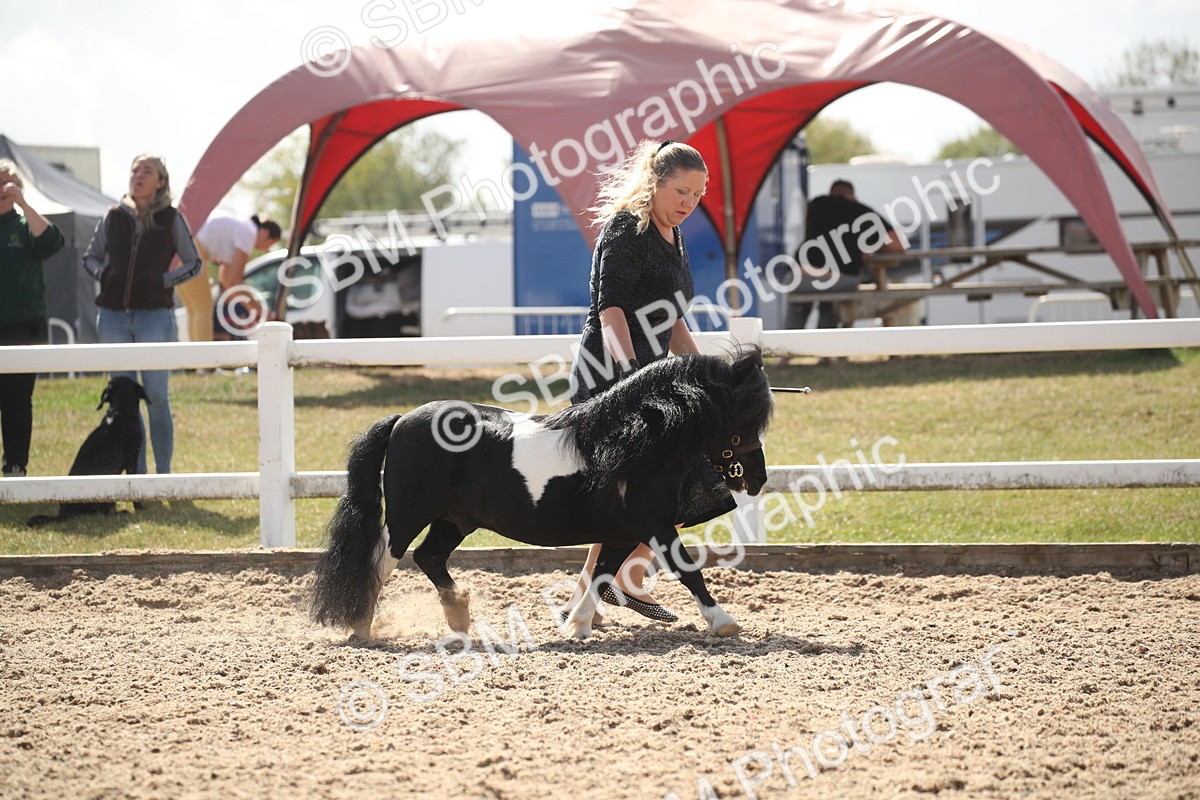 SBM_23101 - Class 606 - 2026 - Area - IH Pre Vet