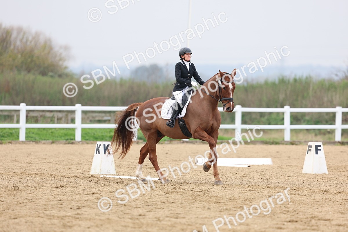 SBM_008433 - Class 11 - Medium 5