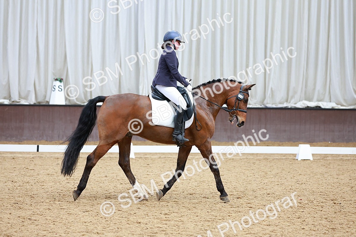 SBM_003583 - Class 15-16-18 - Novice 3-Elementary 1-PYO