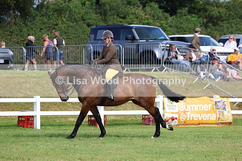 3E7A9462 - Class 4: Rising Star M/H Hunter