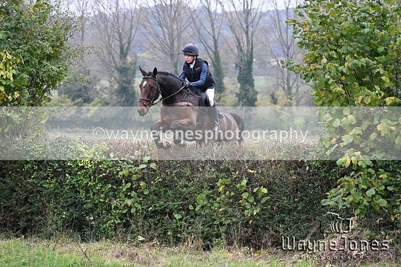 WJ7_8365 - Edited Examples