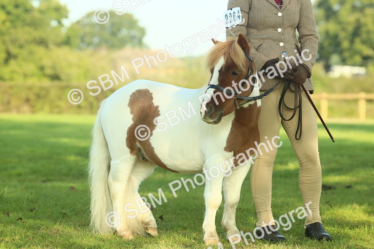 SBM_58622 - S37 - Starters In Hand Showing