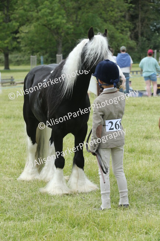 20260614-4305 - Class 18 - Best Junior Handler
