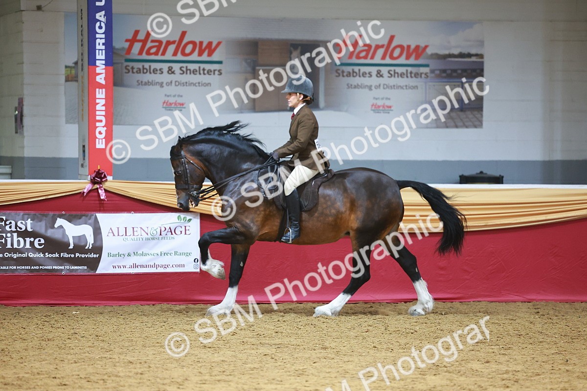 SBM_06077 - Class 12R - Ridden Pre-Vet