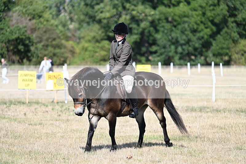 WJ7_2971 - Class 8 Ridden Tack & Turnout