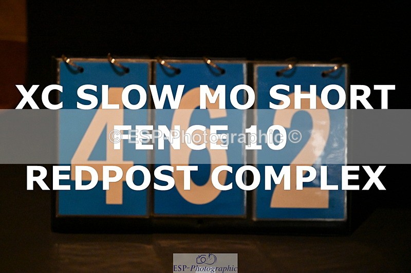 ESP_462 - F-462-Hayley.Allen