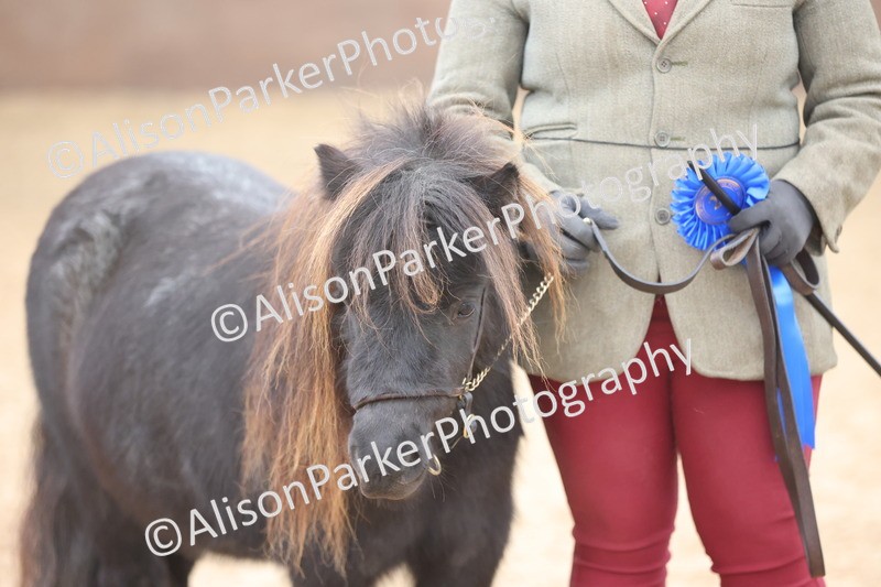 20251109-0261 - Class 11 - 2 and 3 Year Old