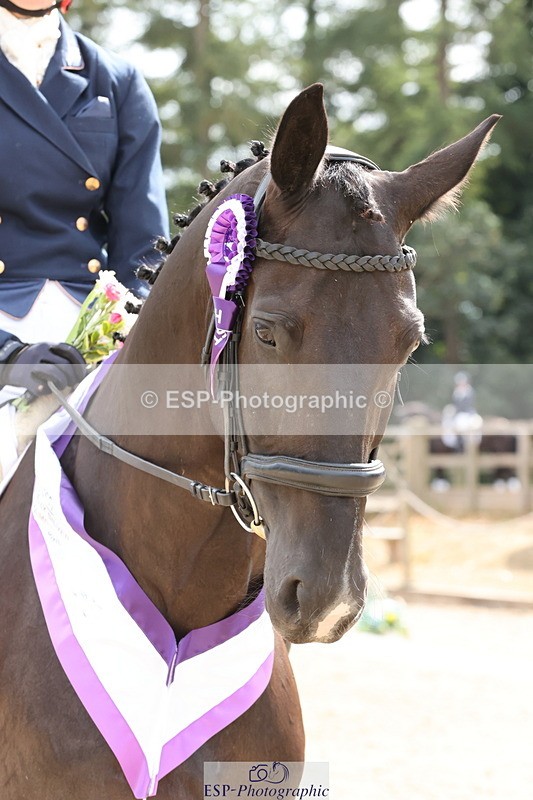 250809A-155429-04667 - Elementary SILVER Presentations