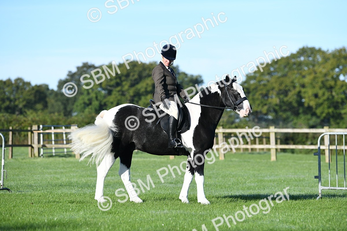 SBM_33973 - S16 - Condition & Turnout - Ridden