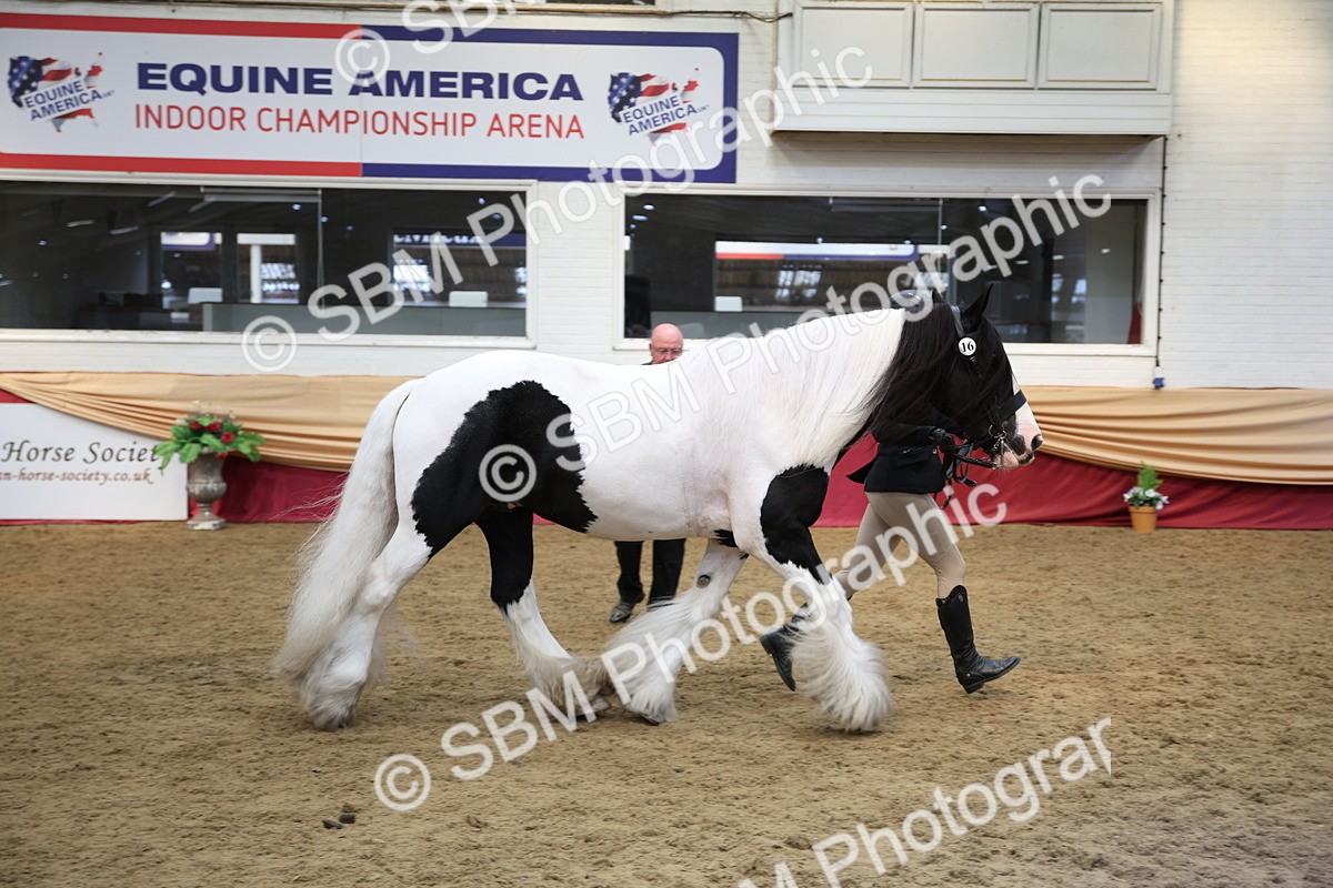 SBM_24720 - Class 906 - Supreme Final - Ridden Pre Vet