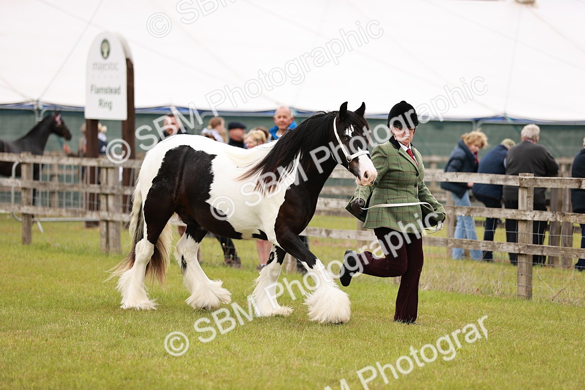 SBM_05959 - Class 39-41 TGCA In Hand and Ridden