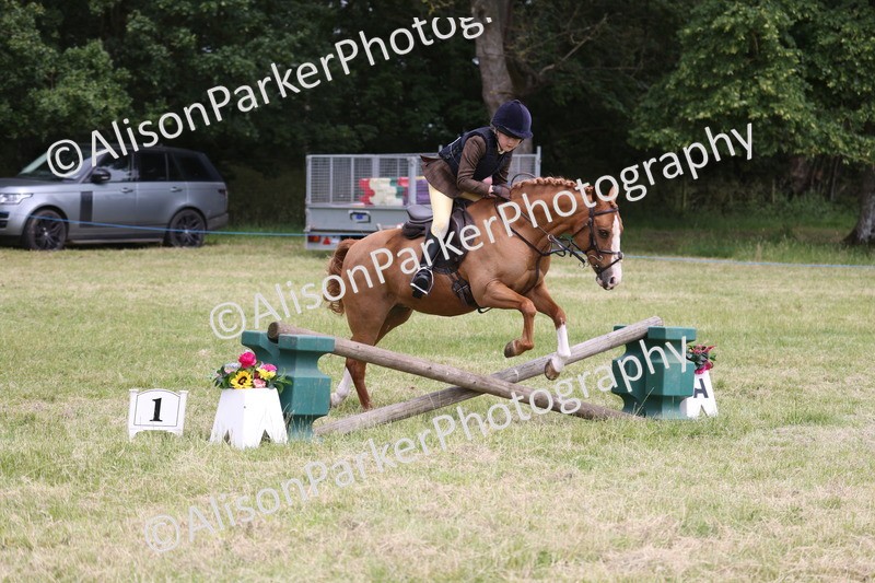 20260614-2876 - Class 22 - Open Working Hunter