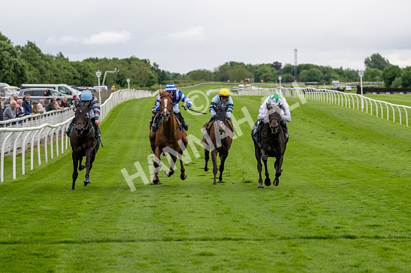 230524-Race 3-See The Green-1581 - Race 3