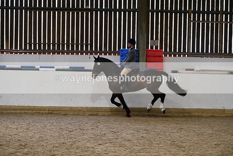 WJ5_7779 - Class 13 Ridden Part Breed