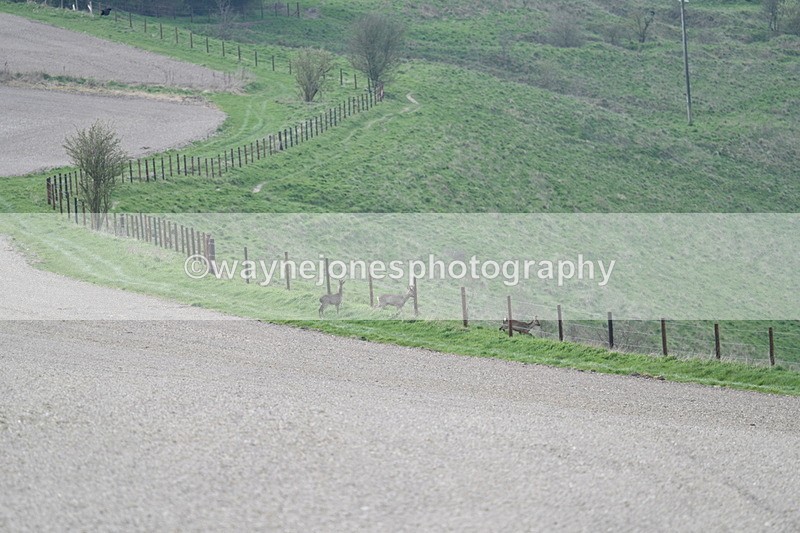 WJ7_7980 - Line 2 A camera