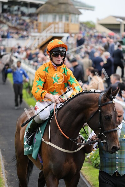 yr13052022r3-16 - Race 3 3.00pm Paddy Power 'I Love Steak' Stakes