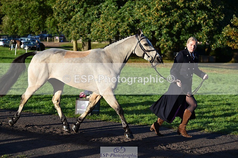 231022-090226-21521 - 619-GARVAGH.GOLDEN.OAK-Ella.Snow-TrotUp+SJ