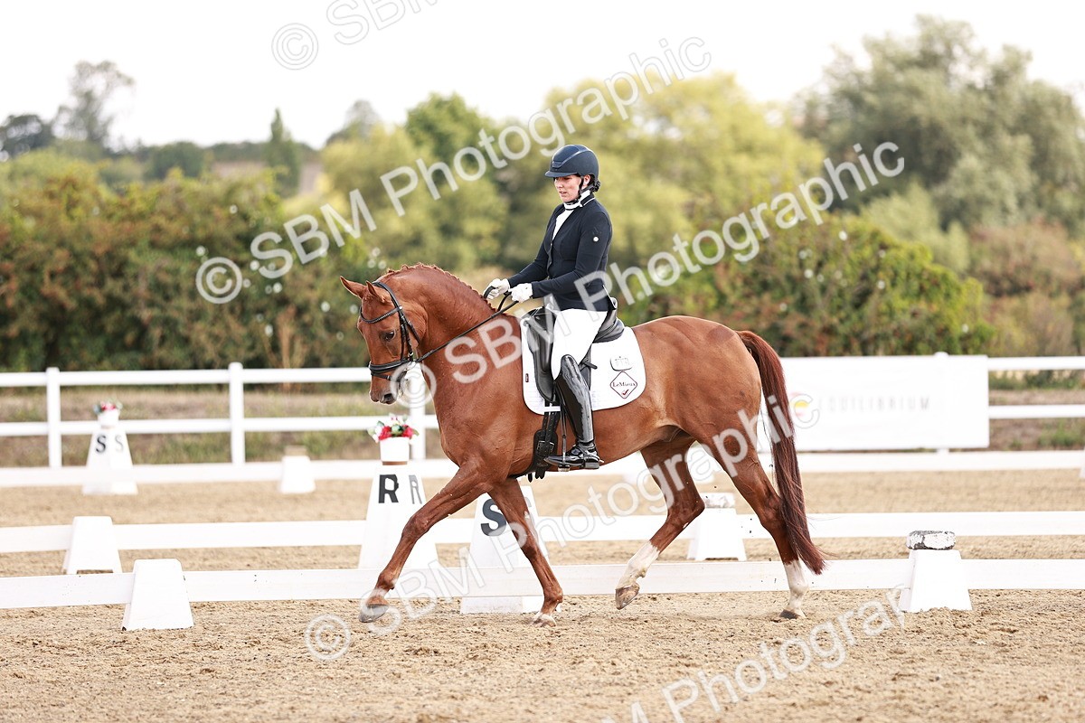 SBM_017673 - Class 11 - Advanced Medium 6