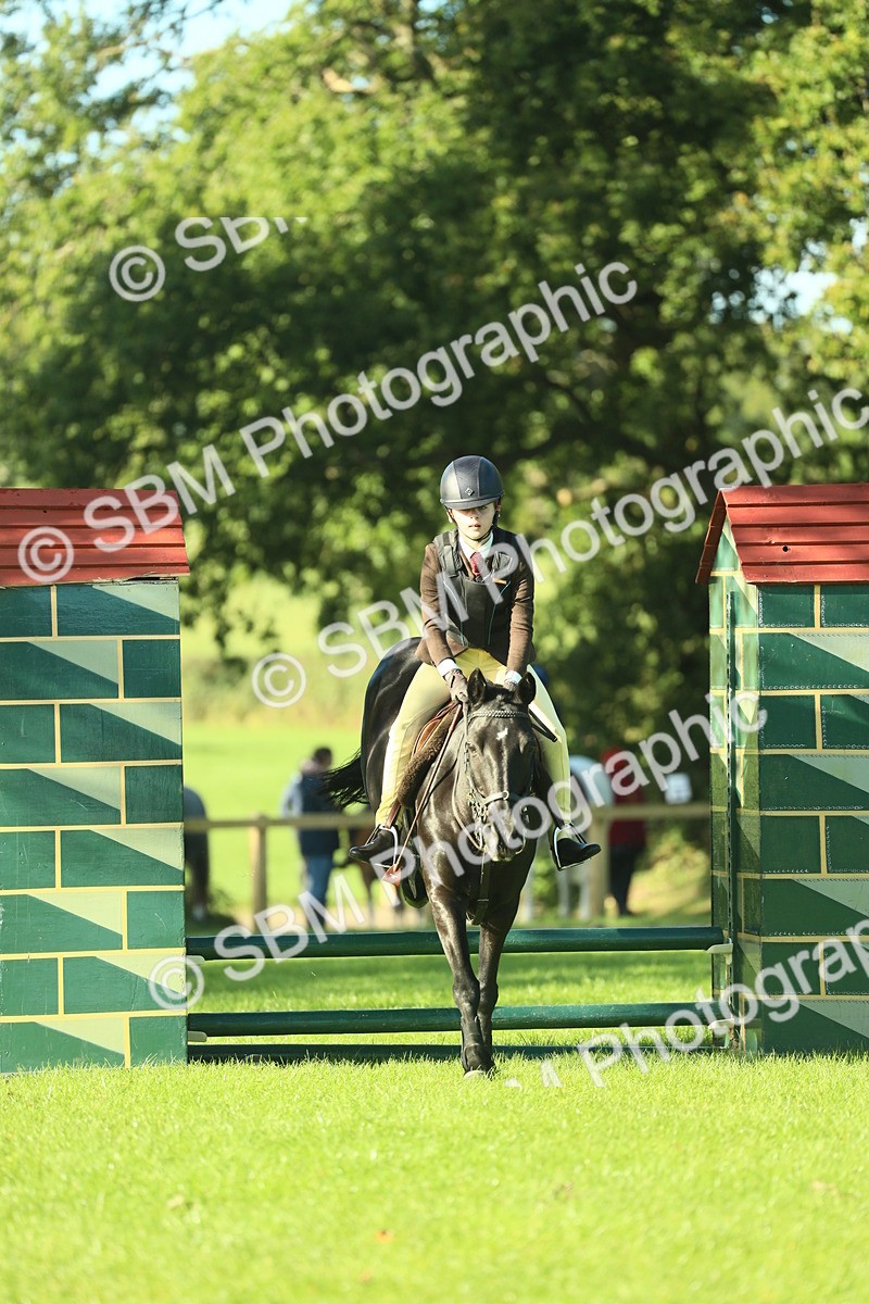 SBM_36327 - S29 - Novice & Newcomers Working Hunter Pony