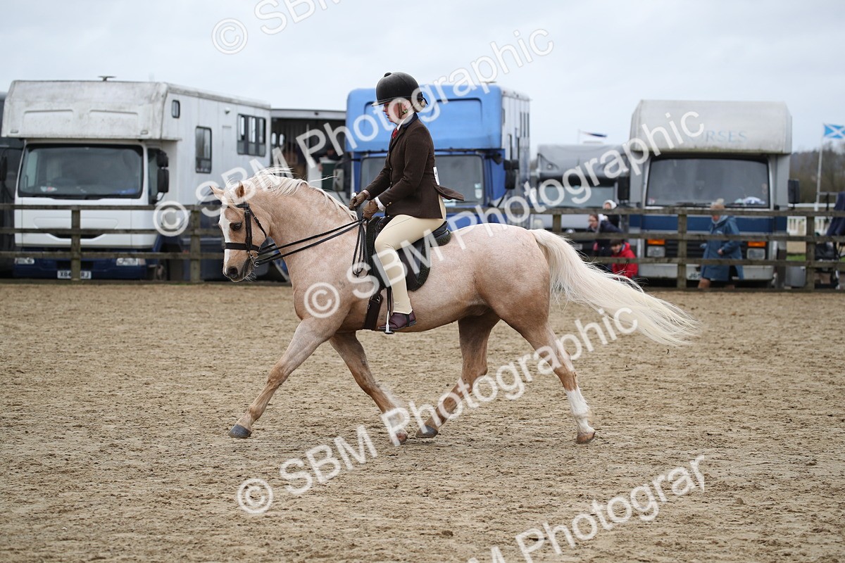 SBM_006380 - Class 10-13 - RIHS Small Large Breeds
