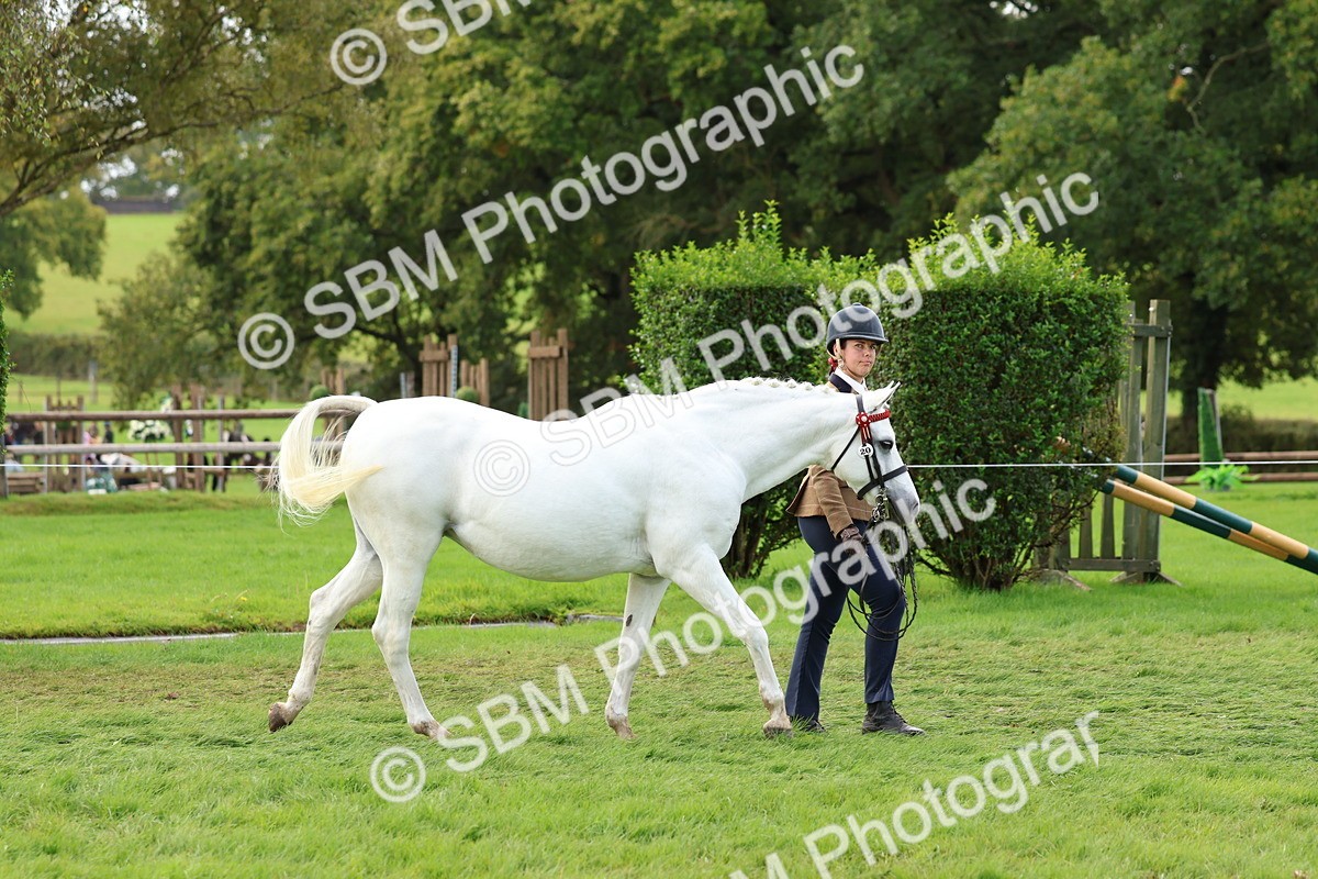 SBM_40710 - S25 -  Veteran In Hand