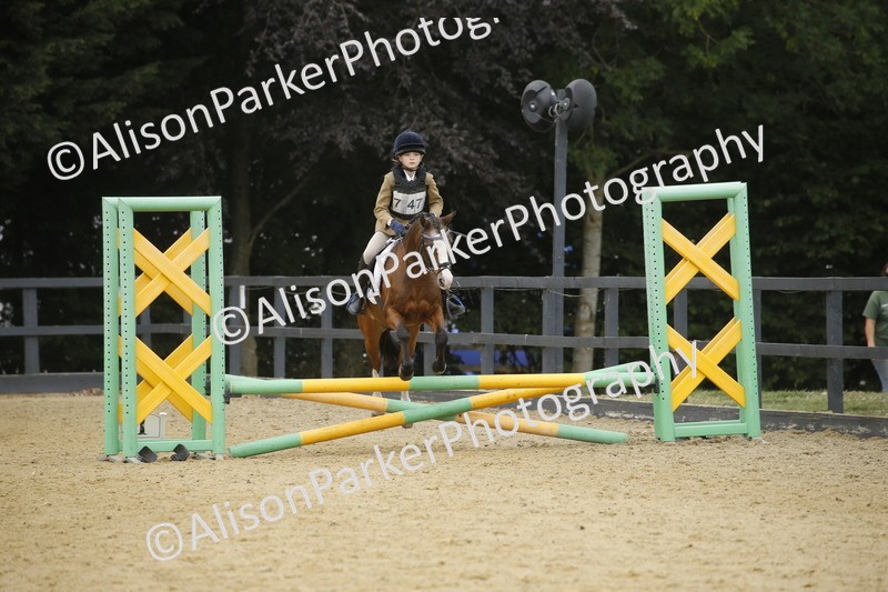 20250622-6268 - 60cm