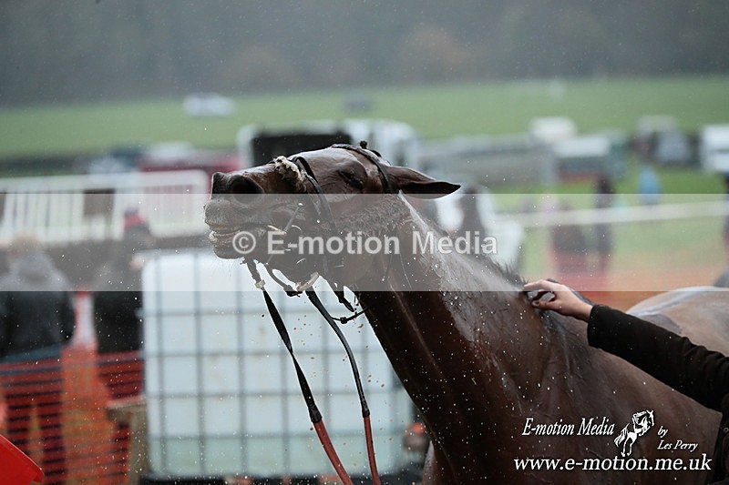 PtP 091125 1188 - Point-to-Point Wales Area Club Lower Machen, Gwent 09/11/25